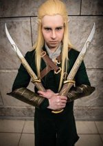 Cosplay-Cover: Legolas