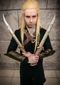 Cosplay-Cover: Legolas