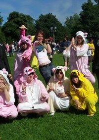 Cosplay-Cover: Schwein ( Kigurumi )