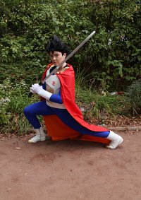 Cosplay-Cover: Vegeta (Vegeta-sei Version)