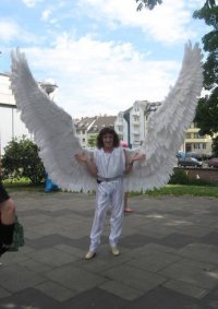 Cosplay-Cover: Paradiesvogel - Leisure Suit