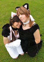 Cosplay-Cover: Catcos [weiß]