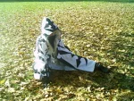 Cosplay-Cover: Xemnas