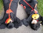 Cosplay-Cover: Uchiha Madara alias Tobi