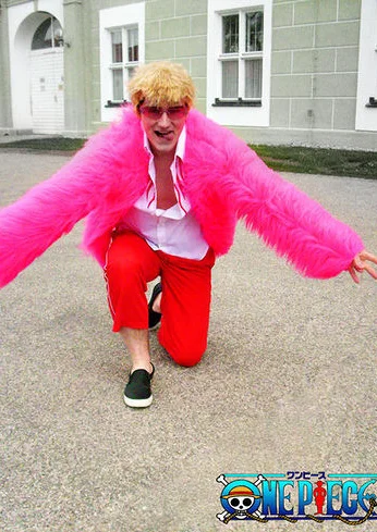 Cosplay-Cover: Don Quichotte de Flamingo