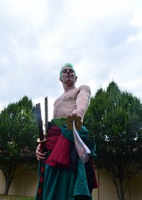 Cosplay-Cover: Roronoa Zoro (New World) / ロロノア・ゾロ