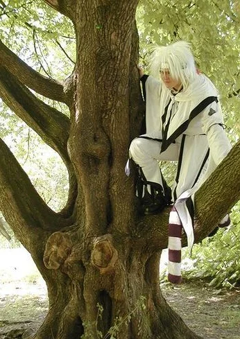 Cosplay-Cover: Byakko