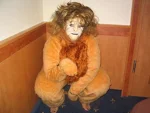 Cosplay-Cover: Aslan (Narnia)