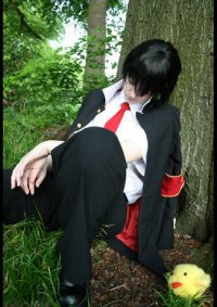 Cosplay-Cover: Hibari Kyouya