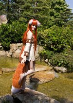 Cosplay-Cover: Horo