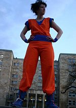 Cosplay-Cover: Gohan (Boo-Staffel)