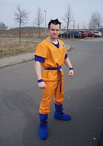 Cosplay-Cover: Son Goku