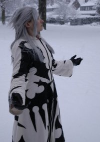Cosplay-Cover: Xemnas (Finale Form)