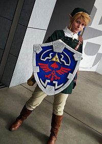 Cosplay-Cover: Link