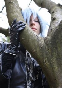 Cosplay-Cover: Zexion [ゼクシオン] N° VI