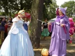 Cosplay-Cover: Gute Fee (Cinderella)