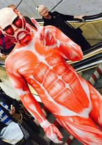 Cosplay-Cover: Colossal Titan