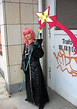 Cosplay-Cover: Marluxia