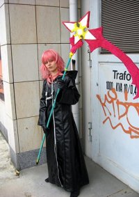 Cosplay-Cover: Marluxia