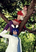 Cosplay-Cover: Meiko (grinsekatze) alice im wunderland