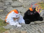 Cosplay-Cover: Kuro Nyanko-sensei