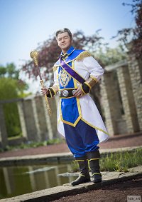 Cosplay-Cover: Prinz Anduin Llane Wrynn