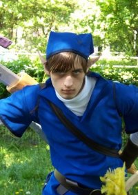 Cosplay-Cover: Link (Zorarüstung)