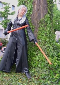 Cosplay-Cover: Xemnas I - The Princess