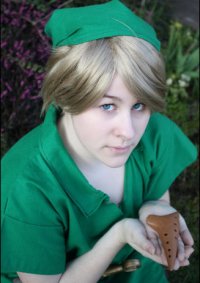 Cosplay-Cover: Link