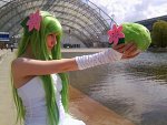 Cosplay-Cover: Shaymin