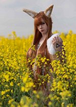 Cosplay-Cover: Horo Wolfsprincess
