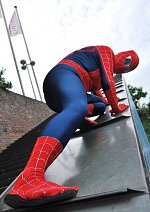 Cosplay-Cover: Spider-Man (Movie Version)