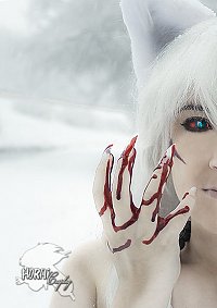 Cosplay-Cover: Inuyasha (Youkai) ~ 犬夜叉