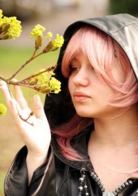 Cosplay-Cover: Marluxia