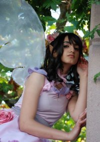 Cosplay-Cover: Sweet Rose Fairy