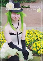 Cosplay-Cover: Gumi Megpoid ♪ » Camellia ❀