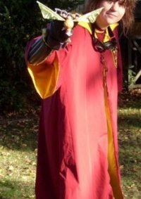 Cosplay-Cover: Gryffindor Quidditchspielerin (Hüter)