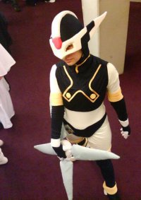 Cosplay-Cover: Phantom - Rockman Zero