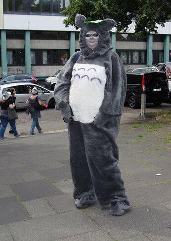 Cosplay-Cover: Totoro