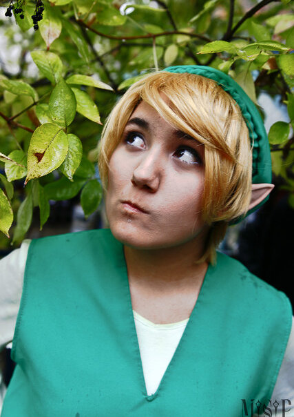 Cosplay-Cover: Link