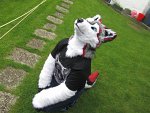 Cosplay-Cover: Fin (Husky/Wolf mix)