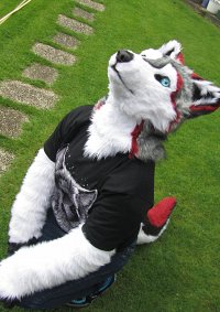 Cosplay-Cover: Fin (Husky/Wolf mix)