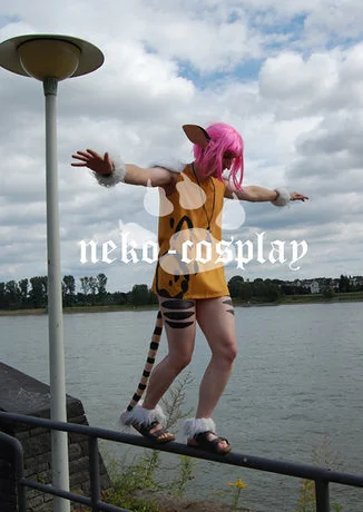Cosplay-Cover: Merle