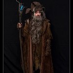 Cosplay: Radagast