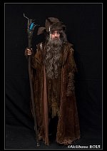 Cosplay-Cover: Radagast