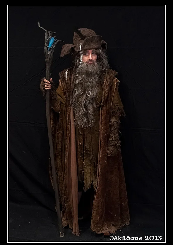 Cosplay-Cover: Radagast