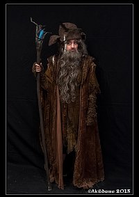 Cosplay-Cover: Radagast