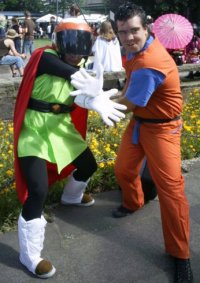 Cosplay-Cover: Son-Gohan