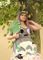 Cosplay-Cover: Totoro