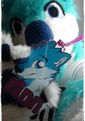 Cosplay-Cover: Finn Blue Husky